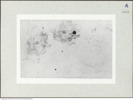 Vorderseite von bh407849_recto