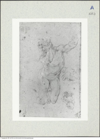 Vorderseite von bh407850_recto