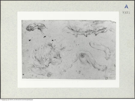 Vorderseite von bh407851_recto