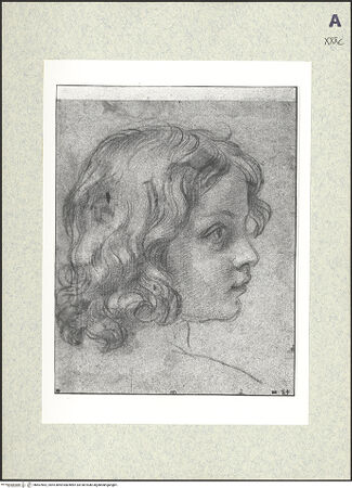 Vorderseite von bh407862_recto