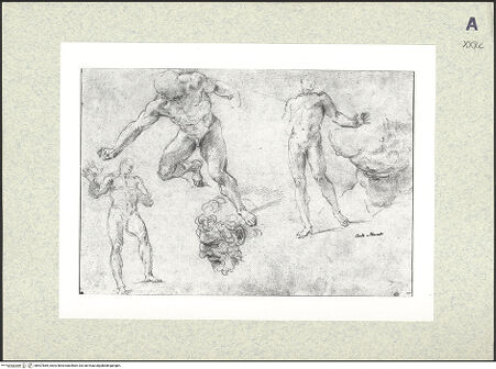 Vorderseite von bh407869_recto