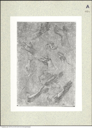 Vorderseite von bh407870_recto