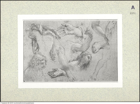 Vorderseite von bh407871_recto