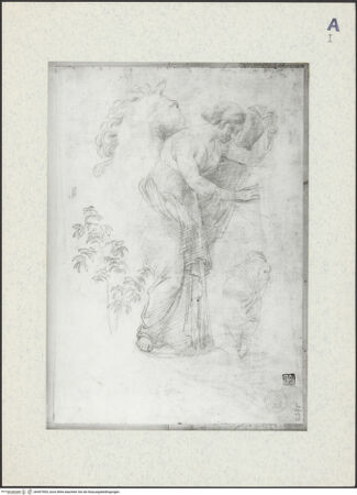 Vorderseite von bh407904_recto