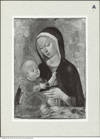 Vorderseite von bh407984_recto