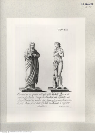 Vorderseite von bh408083