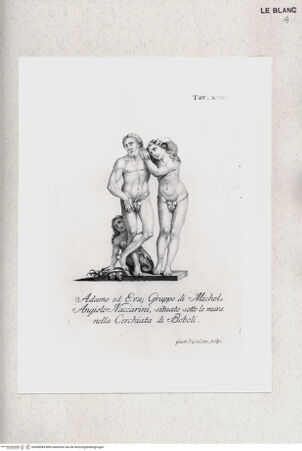 Vorderseite von bh408084