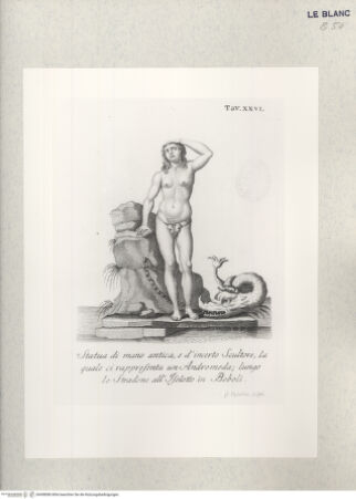 Vorderseite von bh408086