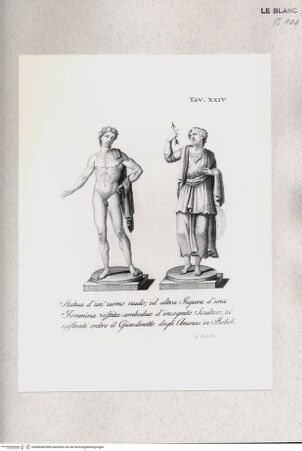 Vorderseite von bh408088