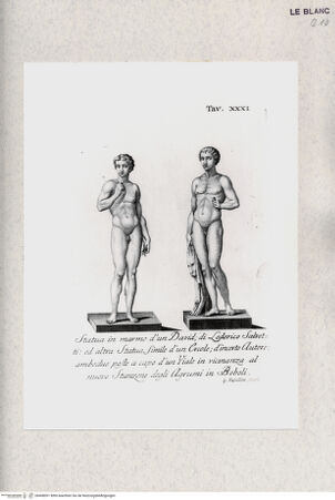 Vorderseite von bh408091