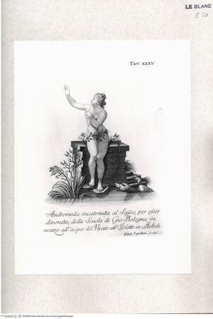 Vorderseite von bh408095