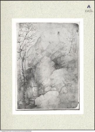 Vorderseite von bh408174_recto