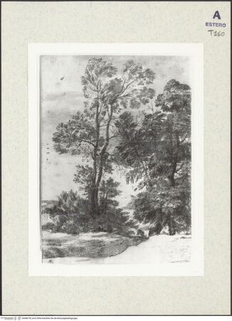 Vorderseite von bh408199_recto