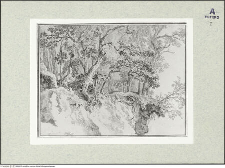 Vorderseite von bh408235_recto