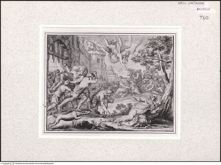 Vorderseite von bh408385_recto