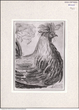 Vorderseite von bh408386_recto