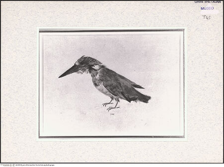 Vorderseite von bh408390_recto