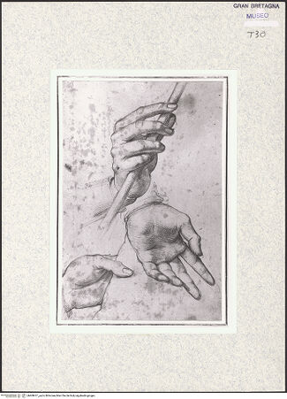 Vorderseite von bh408417_recto