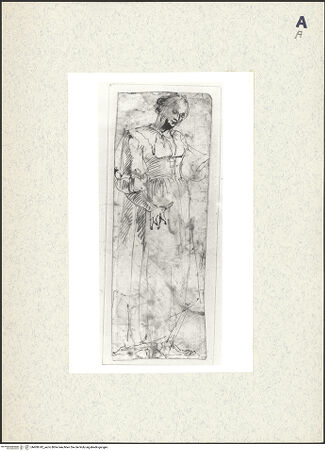 Vorderseite von bh408742_recto