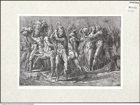 Vorderseite von bh408768_recto