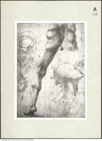 Vorderseite von bh408785_recto