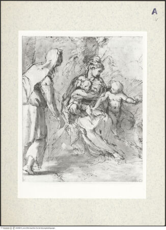 Vorderseite von bh408819_recto