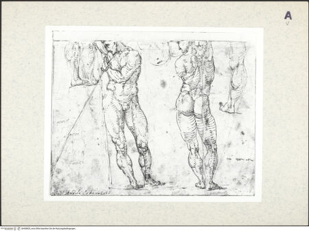 Vorderseite von bh408820_recto