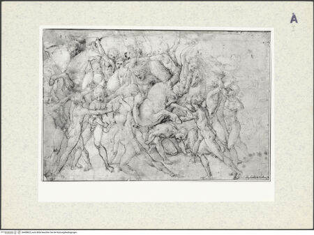 Vorderseite von bh408823_recto