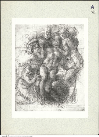 Vorderseite von bh408837_recto