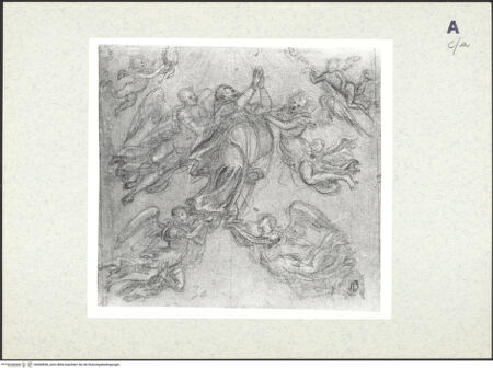 Vorderseite von bh408838_recto