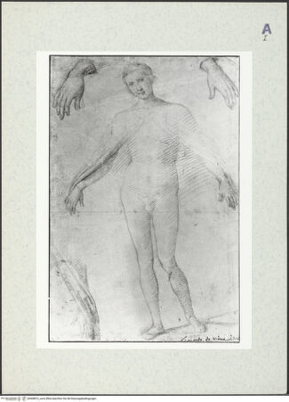 Vorderseite von bh408872_recto