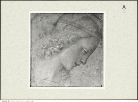 Vorderseite von bh408875_recto