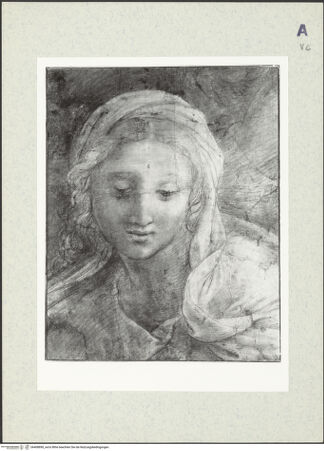 Vorderseite von bh408890_recto