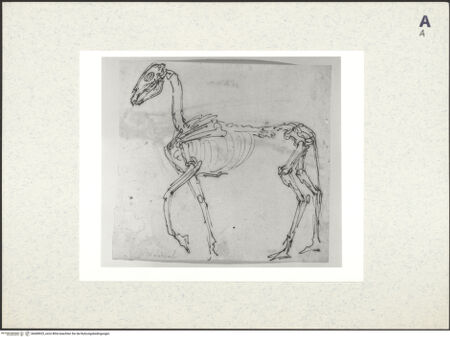 Vorderseite von bh408925_recto