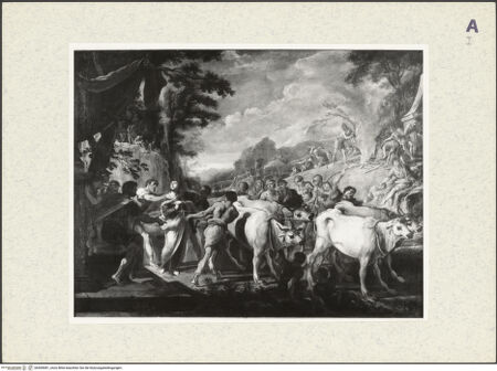 Vorderseite von bh409081_recto