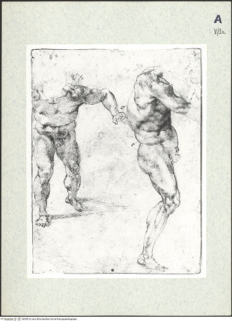 Vorderseite von bh409216_recto