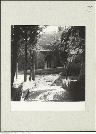 Vorderseite von bh409391_recto