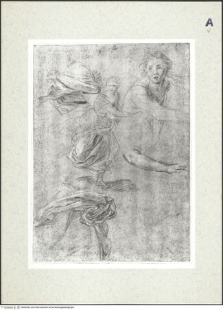 Vorderseite von bh409398_recto