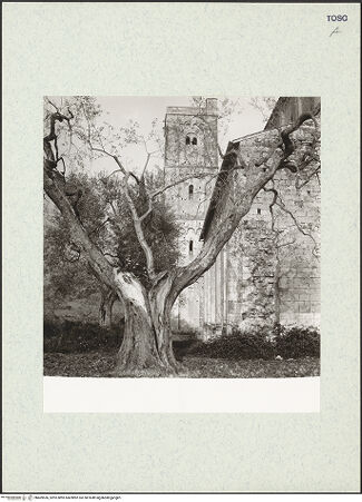 Vorderseite von bh409536_recto