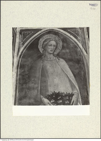 Vorderseite von bh409586_recto