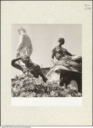 Vorderseite von bh409625_recto