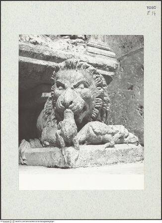 Vorderseite von bh409715_recto