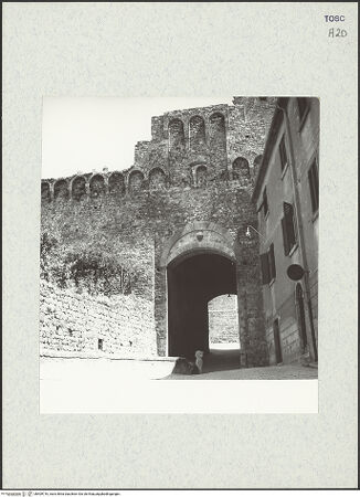 Vorderseite von bh409716_recto