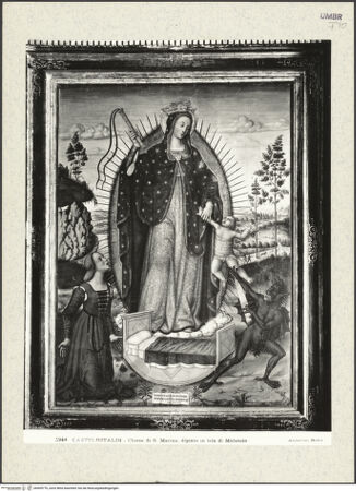 Vorderseite von bh409776_recto