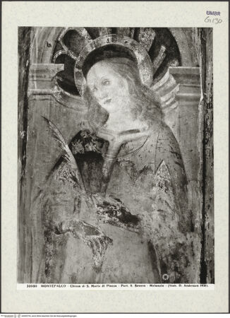 Vorderseite von bh409793_recto