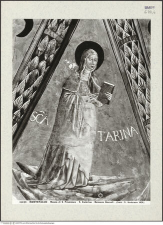 Vorderseite von Alinari [https://www.deutsche-digitale-bibliothek.de/content/lizenzen/rv-ez/] Szenen aus dem Leben des heiligen Franz von Assisi und HeiligeGlorie des Franziskus, Ludwig von Toulouse, Rosa von Viterbo, Bernhard von Siena, Katharina von Siena, Antonius von Padua - Detail: heilige Katharina von Siena, bh409795_recto. Foto: Anderson, Domenico.