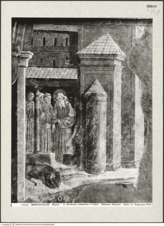 Vorderseite von Alinari [https://www.deutsche-digitale-bibliothek.de/content/lizenzen/rv-ez/] Kapellenausmalung: Geschichte des heiligen Hieronymus und HeiligeSzenen aus dem Leben des heiligen HieronymusDer heilige Hieronymus zeigt den Mönchen den gezähmten Löwen - Gesamtansicht, bh409800_recto. Foto.