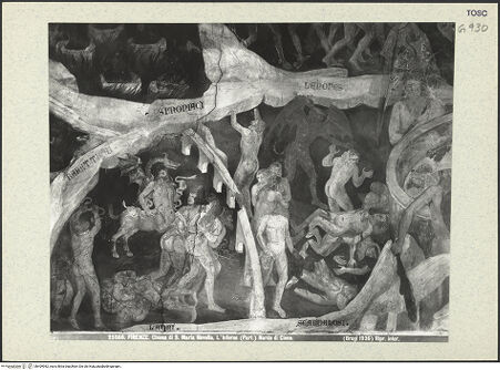 Vorderseite von bh409982_recto