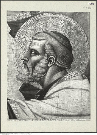 Vorderseite von bh409998_recto