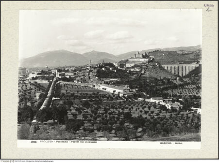 Vorderseite von bh410245_recto